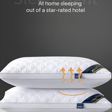 Slaapcomfort Set - 2 Hypoallergene 3D Kussens voor Hotelkwaliteit Slaap