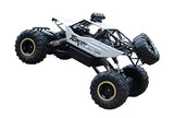 Off-road 4x4 RC-monstertruck voor kinderen en volwassenen