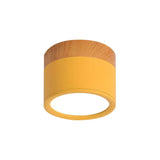 Noordse Cilinder LED Plafondlamp – Minimalistische Inbouwlamp voor Moderne Gangen