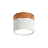 Noordse Cilinder LED Plafondlamp – Minimalistische Inbouwlamp voor Moderne Gangen