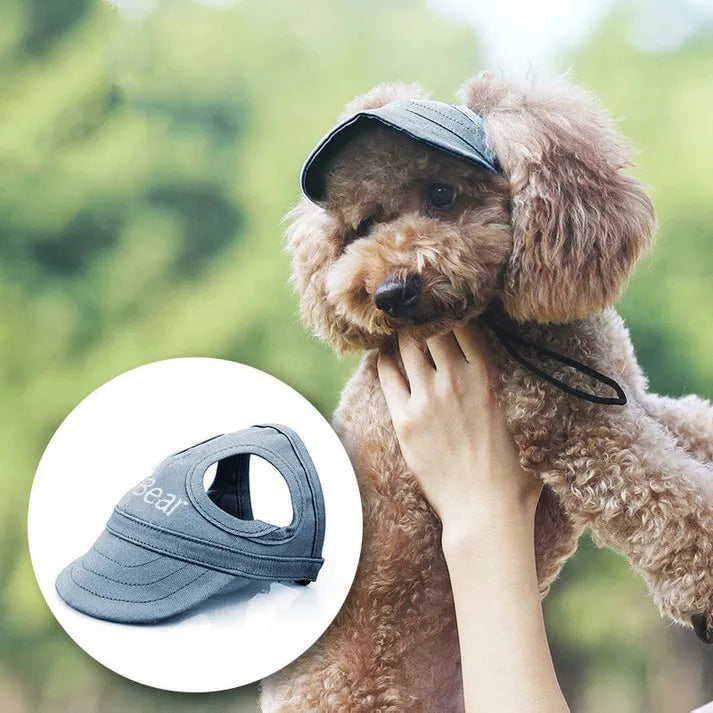 Honden-zonnehoed voor UV-bescherming