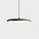 Hanglamp met Eenvoudig Ontwerp voor Moderne Interieurs