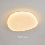 Organische LED Plafondlamp Natuurlijke Steen Vorm