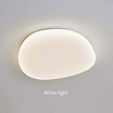 Organische LED Plafondlamp Natuurlijke Steen Vorm