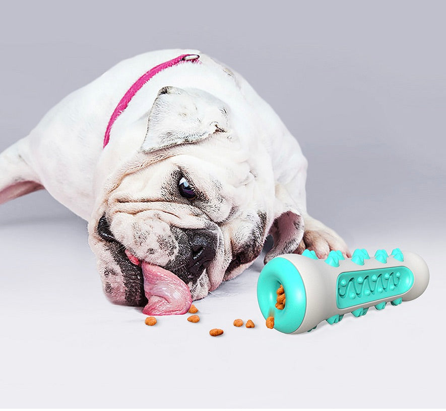 Tandenreinigend Kauspielzeug voor Honden – Chewly