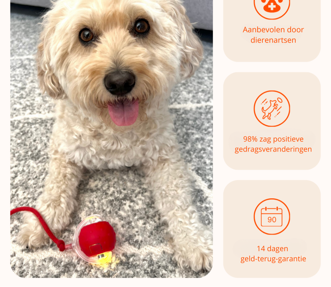 ZoomBall - Interactieve Hondenspeelbal