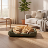 PetLounge | Hondenbed – Ergonomisch Ontwerp voor Gezonde Slaap