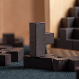 Houten Intelligentiespel Brain Teaser Game