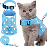 KittyComfort Harnas Set - Voor Gezellige Wandelingen en Avontuur