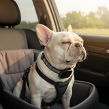 BarkEase | Zacht Trainingshalsband voor Kleine Honden