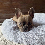 Fluffy Calming Bed