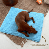 Koelmat voor Honden | Houdt Je Hond Koel & Comfortabel Hele Zomer