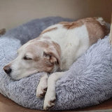 DreamPaws - Daisy Kalmerend Bed Vermindert angst Beter slapen