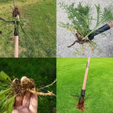 Staande Onkruidverwijderaar met krachtige wortelverwijdering - WeedGrip