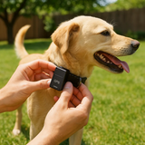 Tracktor | Mini GPS-tracker met Geluid, Magneet & Live-tracking
