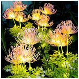 Magische Bloemvormige LED Tafellamp