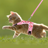 KittyComfort Harnas Set - Voor Gezellige Wandelingen en Avontuur