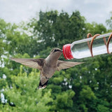 Window Nectar | Geniet van vogels kijken bij je raam met deze voederbak!