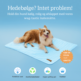 Koelmat voor Honden | Houdt Je Hond Koel & Comfortabel Hele Zomer