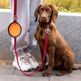 Opvouwbare Pet Voerbak – Duurzaam en Compact voor Honden en Katten