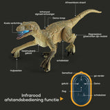 Remote Controlled Dinosaur | Afstandsbedienbare Dinosaurus voor Kinderen