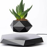 Zwevende plantenhouder met magnetische levitatie - Liva