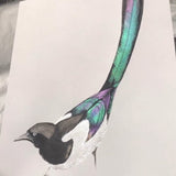 💥 Opruiming 😍🎨 20 Kleuren Aquarel Verfdoos