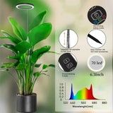 PlantLuxe | Groei lamp voor kamerplanten