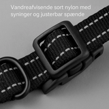 TailZone | Geavanceerd Draadloos Hondenbeveiligingssysteem