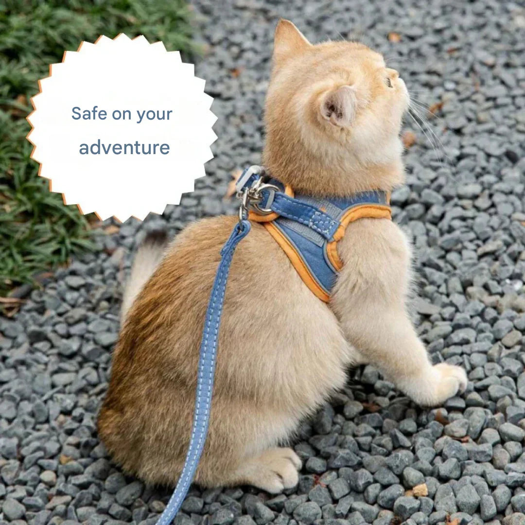 Verstelbaar kattenharnas met lijn – WhiskerWander