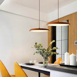 Hanglamp met Eenvoudig Ontwerp voor Moderne Interieurs