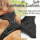 Reflecterend Hondenharnas met Leash Set - Verstelbaar en Veilig voor Wandelen en Training