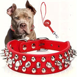 Verstelbare Spiked Hondenhalsband - Sterk en Veilig voor Grote Honden