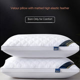 Slaapcomfort Set - 2 Hypoallergene 3D Kussens voor Hotelkwaliteit Slaap