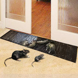 Grote niet-giftige plakval voor muizen, ratten, insecten & slangen - TrapMaxx