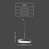 Minimalistische Hanglamp – Moderne IJzeren & Acryl Hanglamp