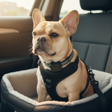 BarkEase | Zacht Trainingshalsband voor Kleine Honden