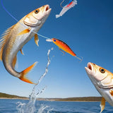 FISHMAS – 24-dagen kerst 2025-telling visuitrusting kalender