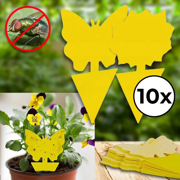 Kleefvallen voor Vliegen en Insecten