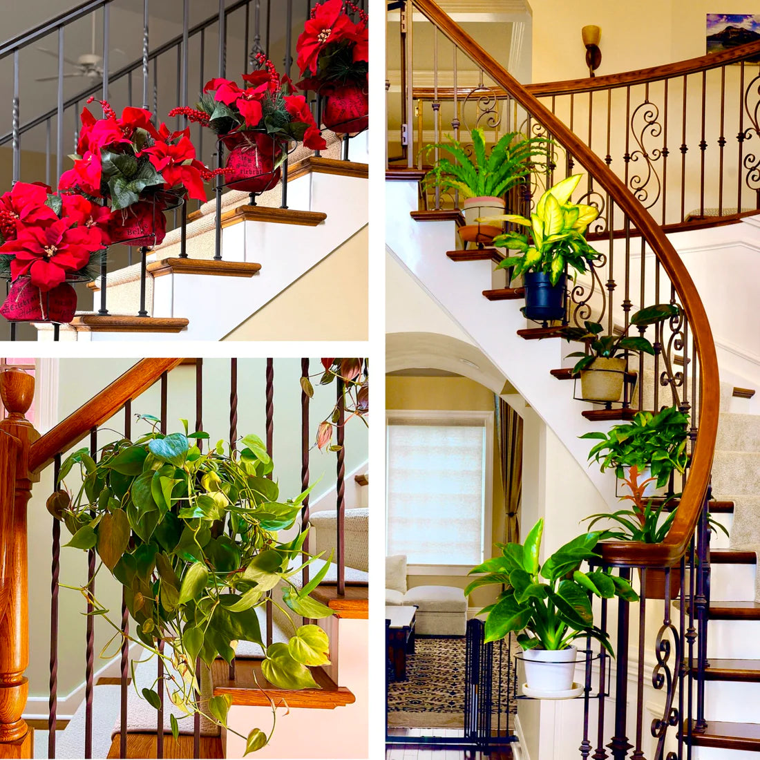 Hangende Balkonplantenhouder – Balconia