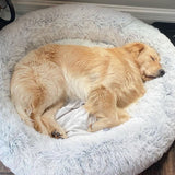 DreamPaws - Daisy Kalmerend Bed Vermindert angst Beter slapen