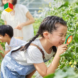 Kinderen Insecten Verkenningsset - Veilige Plastic met Vergrootglas en Terrarium