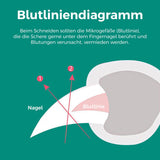 ClarityClip | Veilige Ergonomische LED Nageltrimmer voor Honden en Katten voor Nauwkeurige Verzorging