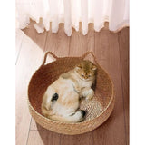 WhiskerLounge | Kattenbed – Ontspanning en Veiligheid
