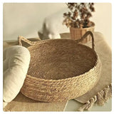 WhiskerLounge | Kattenbed – Ontspanning en Veiligheid
