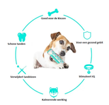 Traktatie Speelrol voor Honden – Plezier en Beloning in Één