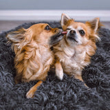 Hondenbed Fluffy Plus – Het Origineel