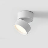Savvina Opbouw Plafondlamp – Verstelbare Elegantie voor Nauwkeurige Verlichting