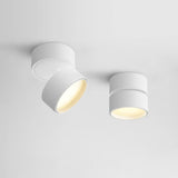 Savvina Opbouw Plafondlamp – Verstelbare Elegantie voor Nauwkeurige Verlichting