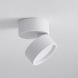 Savvina Opbouw Plafondlamp – Verstelbare Elegantie voor Nauwkeurige Verlichting